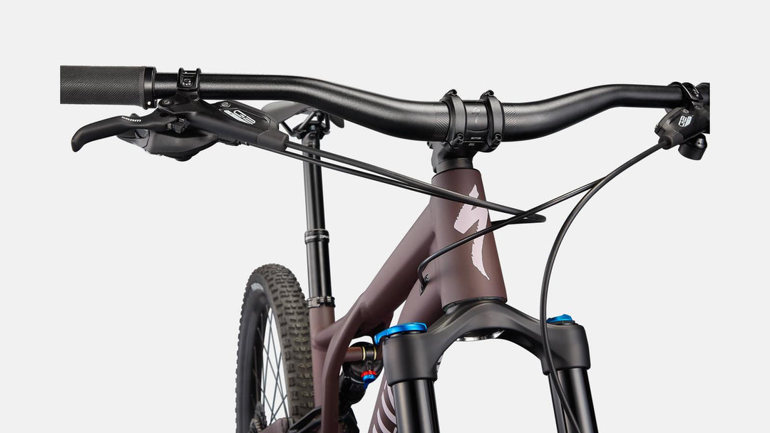 STUMPJUMPER COMP ALLOY SATIN CAST UMBER / CLAY - Mackay Cycles - [product_SKU] - Specialized