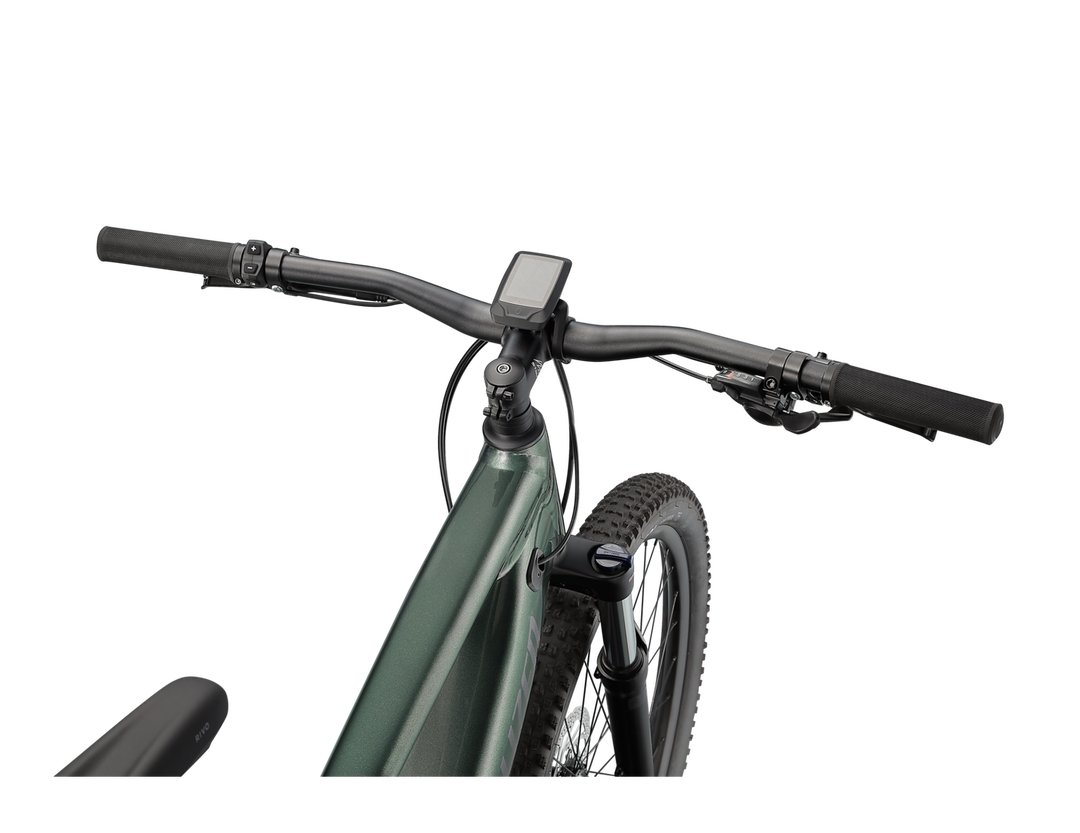 Turbo Tero 3.0 Oak Green Metallic / Smoke eBike