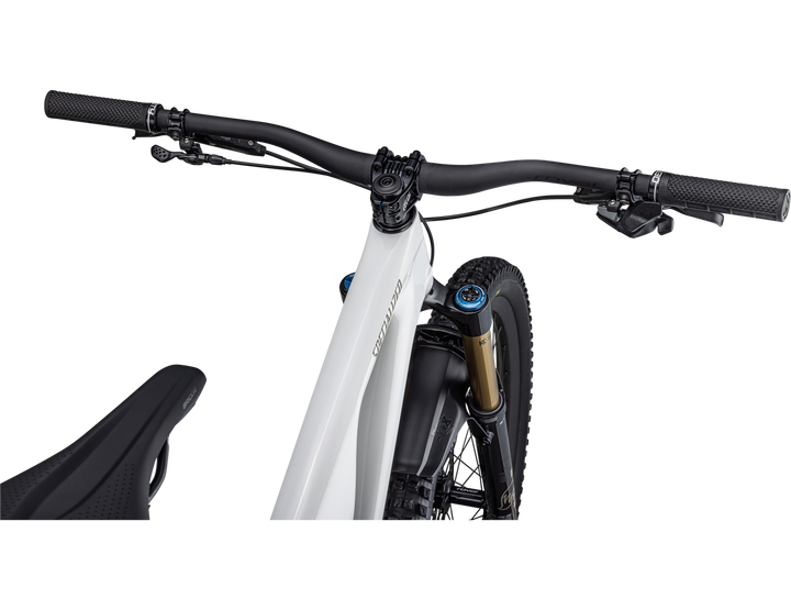 Stumpjumper EVO Pro GLOSS DUNE WHITE / TAUPE - Mackay Cycles - [product_SKU] - Specialized