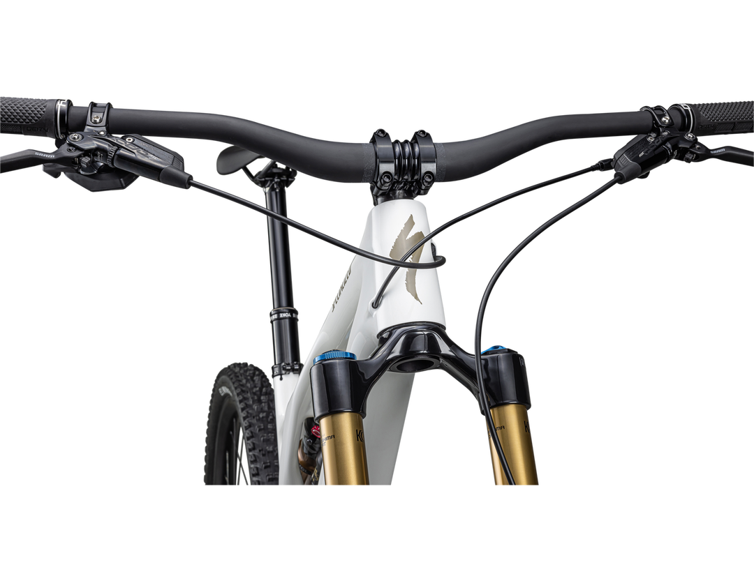 Stumpjumper EVO Pro GLOSS DUNE WHITE / TAUPE - Mackay Cycles - [product_SKU] - Specialized