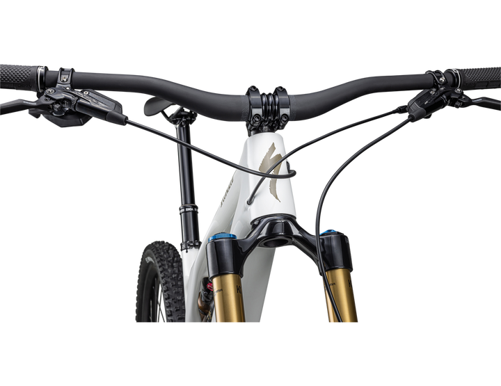 Stumpjumper EVO Pro GLOSS DUNE WHITE / TAUPE - Mackay Cycles - [product_SKU] - Specialized