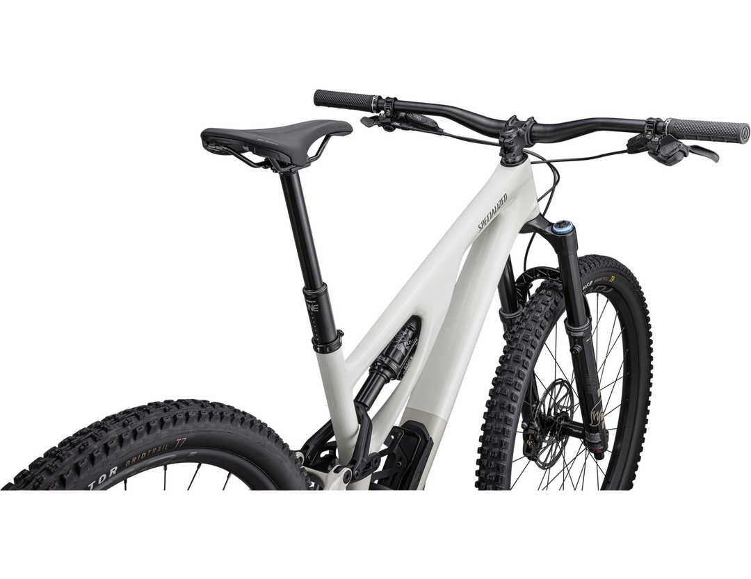 Stumpjumper EVO Expert GLOSS BIRCH / TAUPE - Mackay Cycles - [product_SKU] - Specialized