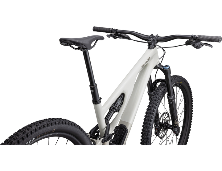 Stumpjumper EVO Expert GLOSS BIRCH / TAUPE - Mackay Cycles - [product_SKU] - Specialized