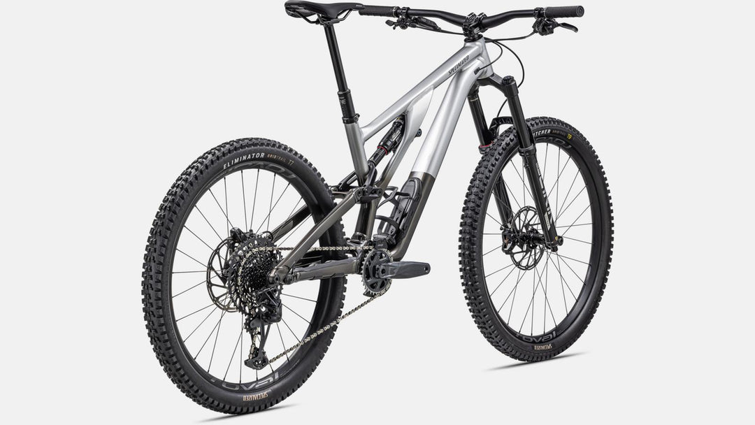 Stumpjumper EVO Elite Alloy GLOSS SILVER DUST / BLACK TINT - Mackay Cycles - [product_SKU] - Specialized