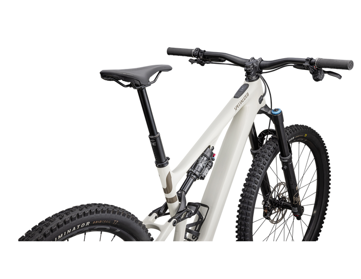 Turbo Levo SL Expert Carbon GLOSS BIRCH / TAUPE - Mackay Cycles - [product_SKU] - Specialized